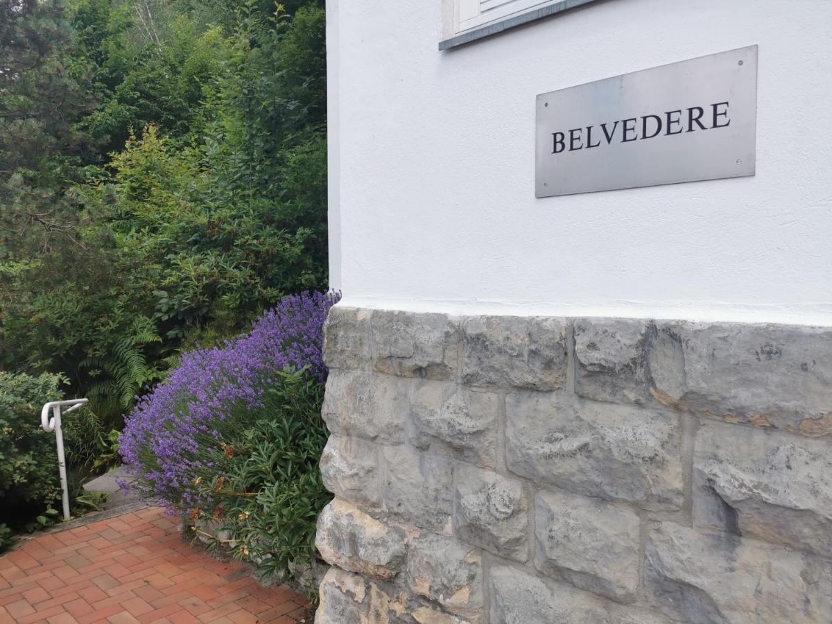 Villa Belvedere  Rathen Esterno foto