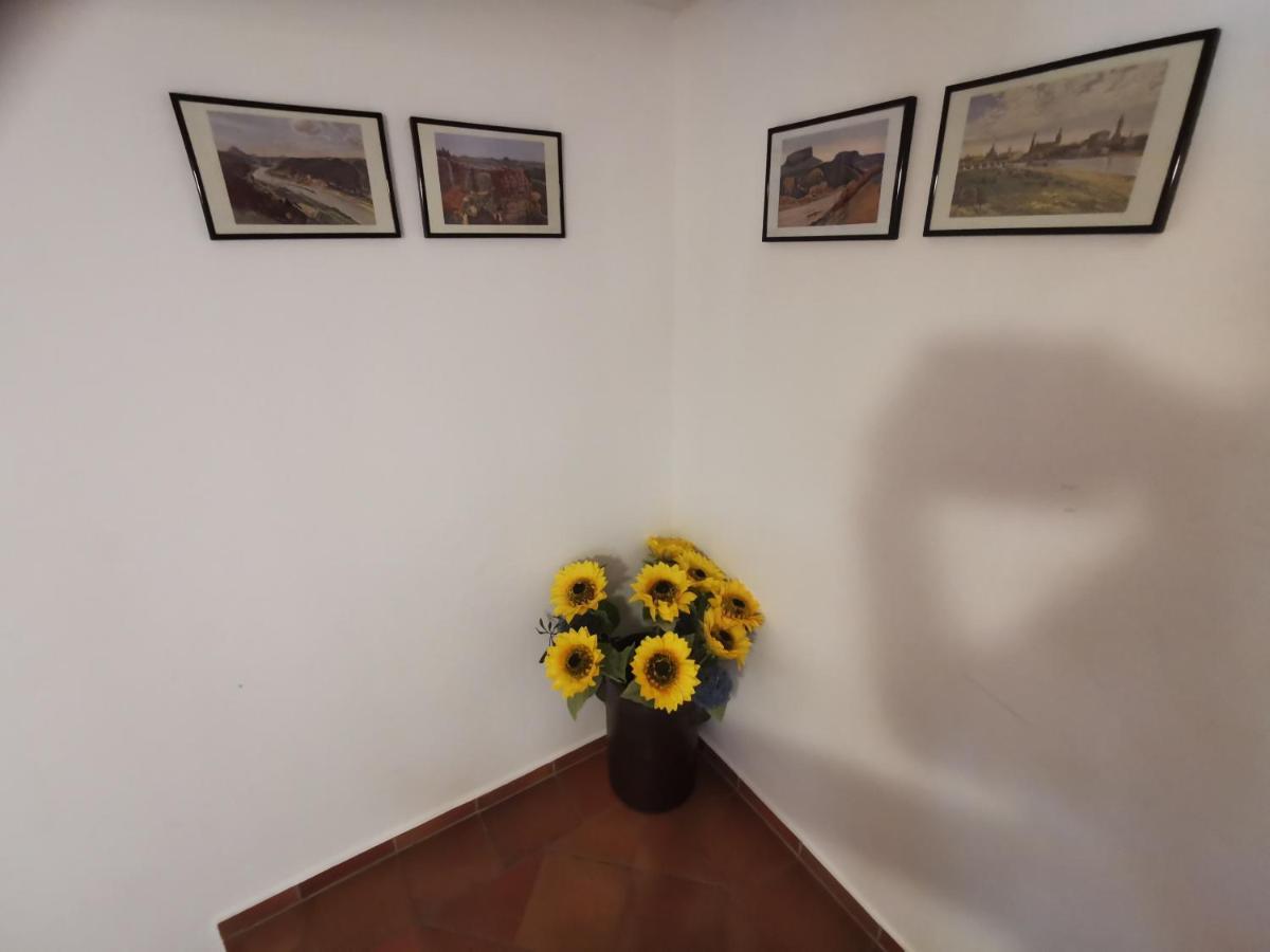 Villa Belvedere  Rathen Esterno foto
